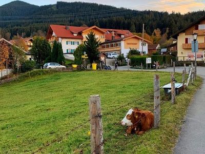 Doppelzimmer für 4 Personen (73 m²) in Bad Kohlgrub 9/10