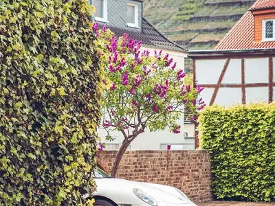 Doppelzimmer für 2 Personen (20 m²) in Stadt Bad Neuenahr-Ahrweiler 10/10
