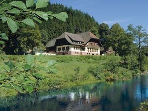 Doppelzimmer für 2 Personen in Bad Rippoldsau-Schapbach