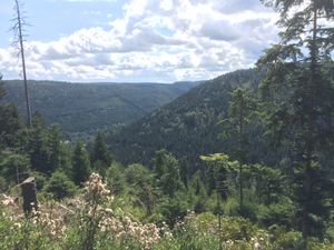 18398225-Doppelzimmer-2-Bad Wildbad Im Schwarzwald-300x225-5