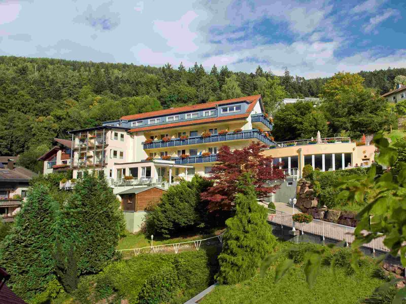 21633913-Doppelzimmer-2-Bad Wildbad Im Schwarzwald-800x600-1