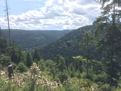 Wandern