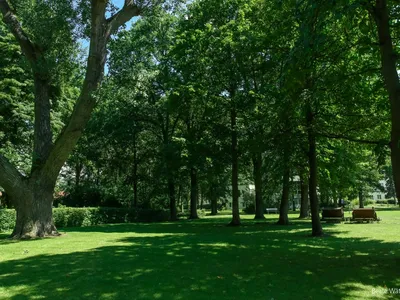 Kurpark