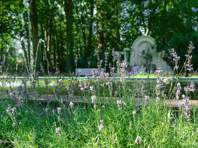 Kurpark