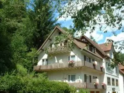 Doppelzimmer für 2 Personen in Baiersbronn 1/10