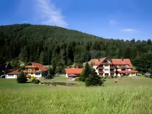 Doppelzimmer für 2 Personen in Baiersbronn