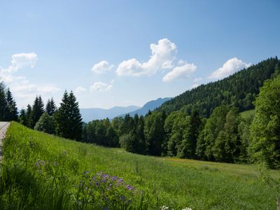 Barrierefreies Doppelzimmer -  Aussicht