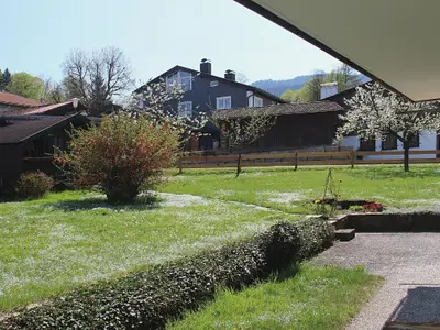 Garten 2