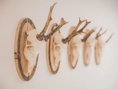 Doppelzimmer für 3 Personen in Bernried (Niederbayern) 2/10