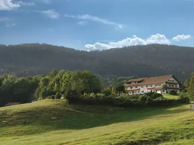 Bild vom Wild-Berghof Buchet in Bernried