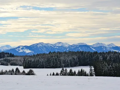 Winter
