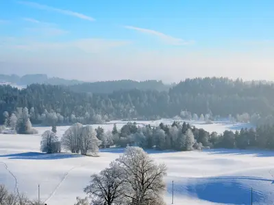 Notenweiher Winter