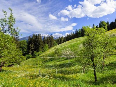 Wiesen rund um das Haus Scheuerbichl