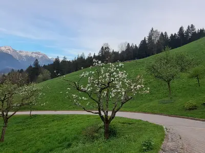 Frühling