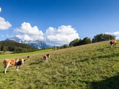 Bergidylle
