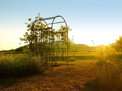 Sonnenuntergang