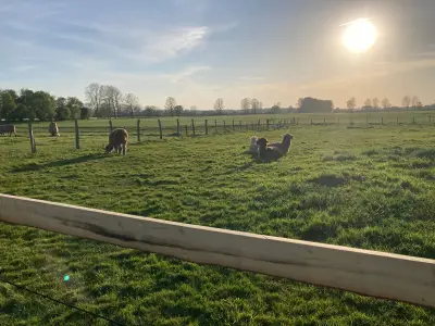 Doppelzimmer für 2 Personen (15 m²) in Börgerende-Rethwisch 6/10
