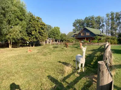 Doppelzimmer für 2 Personen (28 m²) in Börgerende-Rethwisch 9/10