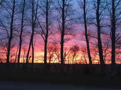 Doppelzimmer für 2 Personen (28 m²) in Börgerende-Rethwisch 10/10