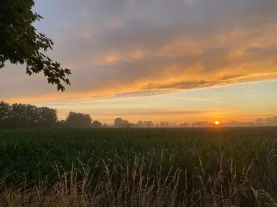 Doppelzimmer für 2 Personen (23 m²) in Börgerende-Rethwisch 9/10
