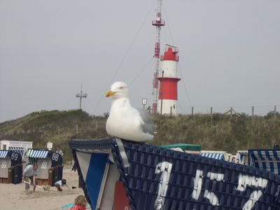 Doppelzimmer für 2 Personen (17 m²) in Borkum 4/10