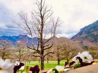 Aussicht