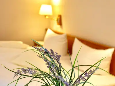 Doppelzimmer für 2 Personen in Breisach am Rhein 1/7