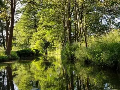Doppelzimmer für 2 Personen in Burg (Spreewald) 7/10