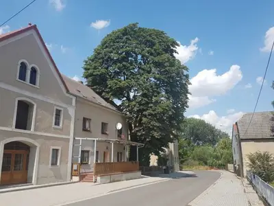 Doppelzimmer für 2 Personen (18 m²) in Cavertitz 1/1