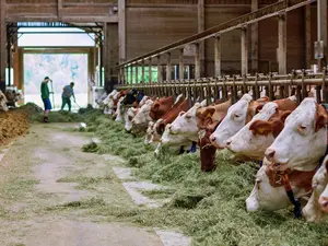 Doppelzimmer für 2 Personen in Chieming