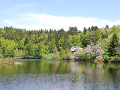 Doppelzimmer für 2 Personen in Dachsberg 10/10