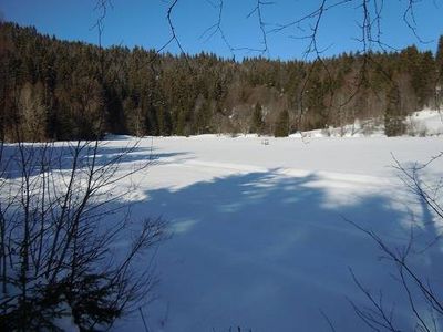 Doppelzimmer für 2 Personen in Dachsberg 8/10