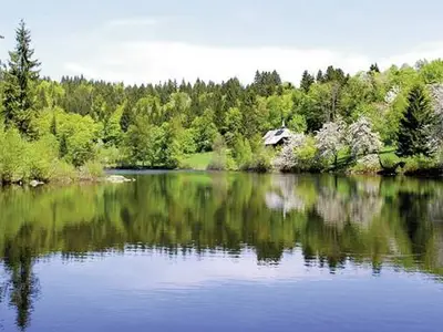 Doppelzimmer für 2 Personen in Dachsberg 10/10