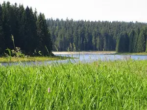 Doppelzimmer für 2 Personen (18 m²) in Eibenstock