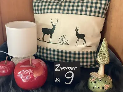 Doppelzimmer für 2 Personen (9 m²) in Eibenstock 9/10
