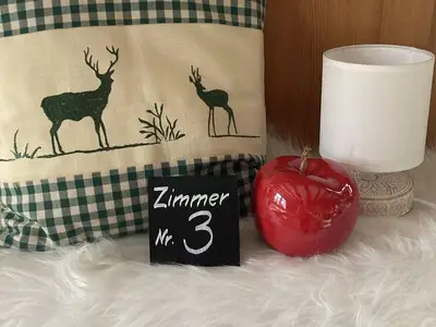 Doppelzimmer für 2 Personen (13 m²) in Eibenstock 9/10