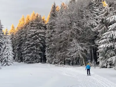 Doppelzimmer für 2 Personen (25 m²) in Eisfeld 7/7