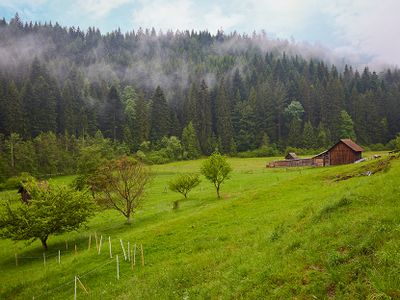 Blick vom Balkon