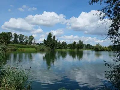 Doppelzimmer für 3 Personen in Erbach (Baden-Württemberg) 8/8