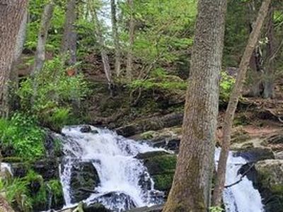 Doppelzimmer für 5 Personen (70 m²) in Falkenstein (Harz) 7/10