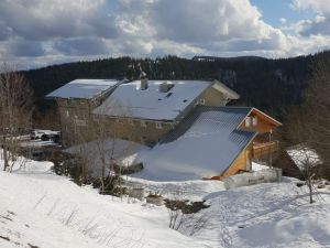 23736255-Doppelzimmer-2-Feldberg (Hochschwarzwald)-300x225-1