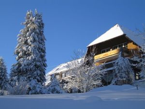 23376478-Doppelzimmer-2-Feldberg (Hochschwarzwald)-300x225-4