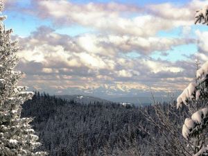 23736255-Doppelzimmer-2-Feldberg (Hochschwarzwald)-300x225-5