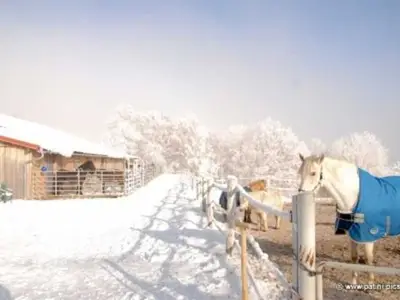 Doppelzimmer für 2 Personen (18 m²) in Fischbachau 8/10