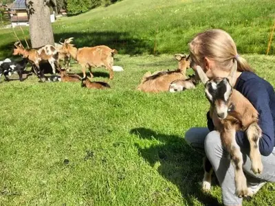 Doppelzimmer für 2 Personen (18 m²) in Fischbachau 3/6