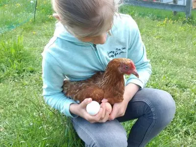 Doppelzimmer für 2 Personen (18 m²) in Fischbachau 4/6