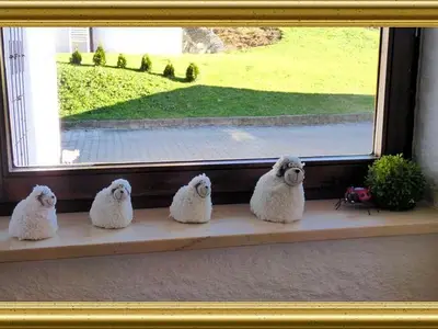 Doppelzimmer für 2 Personen (22 m²) in Fischen im Allgäu 6/10