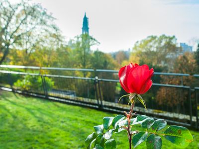 Dachterrasse mit Blick aufs Münster