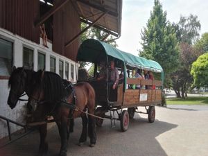 22100883-Doppelzimmer-2-Fritzlar-300x225-1