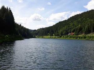 23096385-Doppelzimmer-2-Furtwangen im Schwarzwald-300x225-5